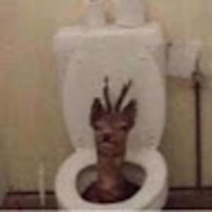 Meet your Posher, Chey